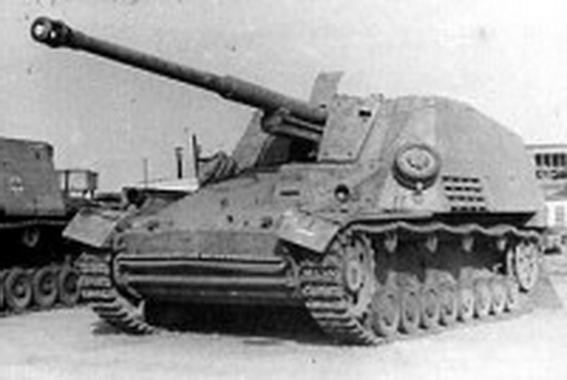 Nashorn