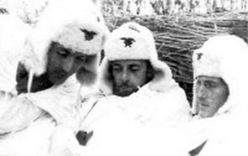 Μάχη της Πίνδου